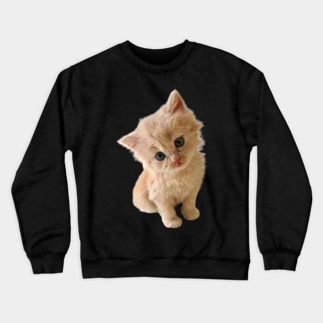 Cute kitten leaning for a kiss Crewneck Sweatshirt by aestheticand